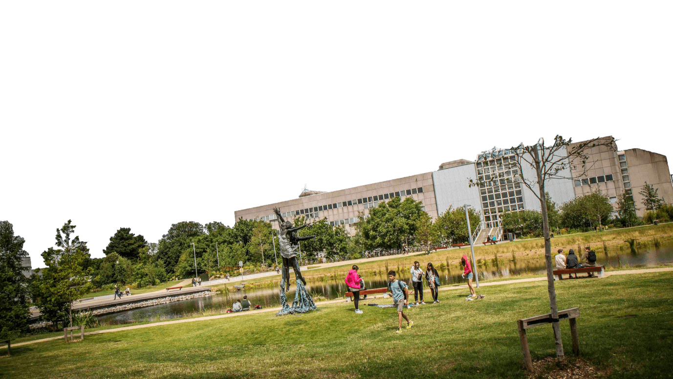 University College Dublin Summer Camp